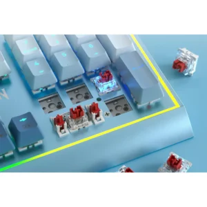 کیبورد گیمینگ مکانیکال ردراگون BLUESIREN K654